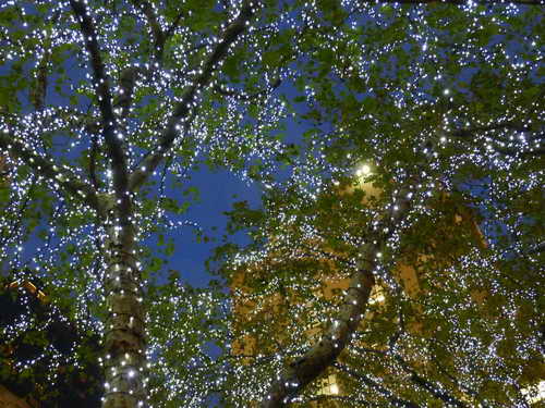 NYC_2012-11-19 17-06-03_P1070236
